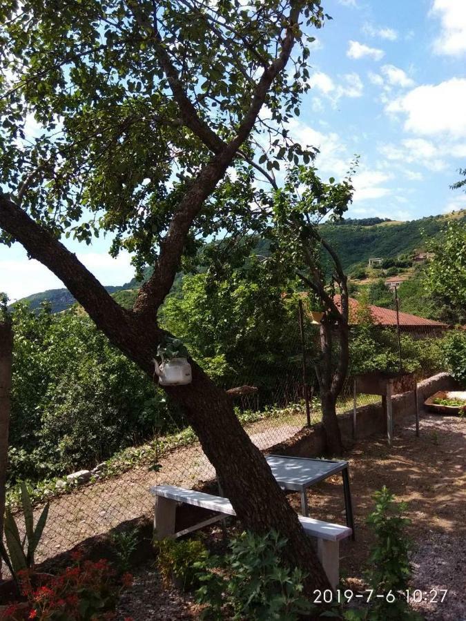 Nnn Guest House Goris Exterior photo